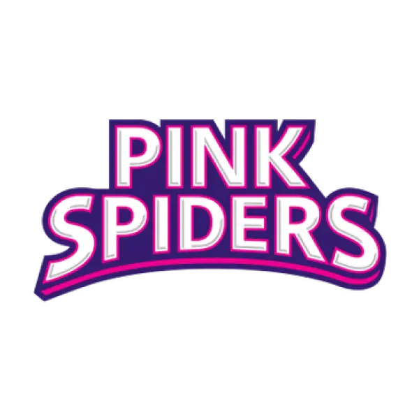 인천 흥국생명 핑크스파이더스 logo