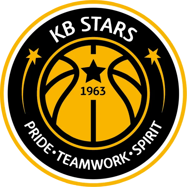 청주 KB 스타즈 logo